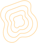 Shape 25